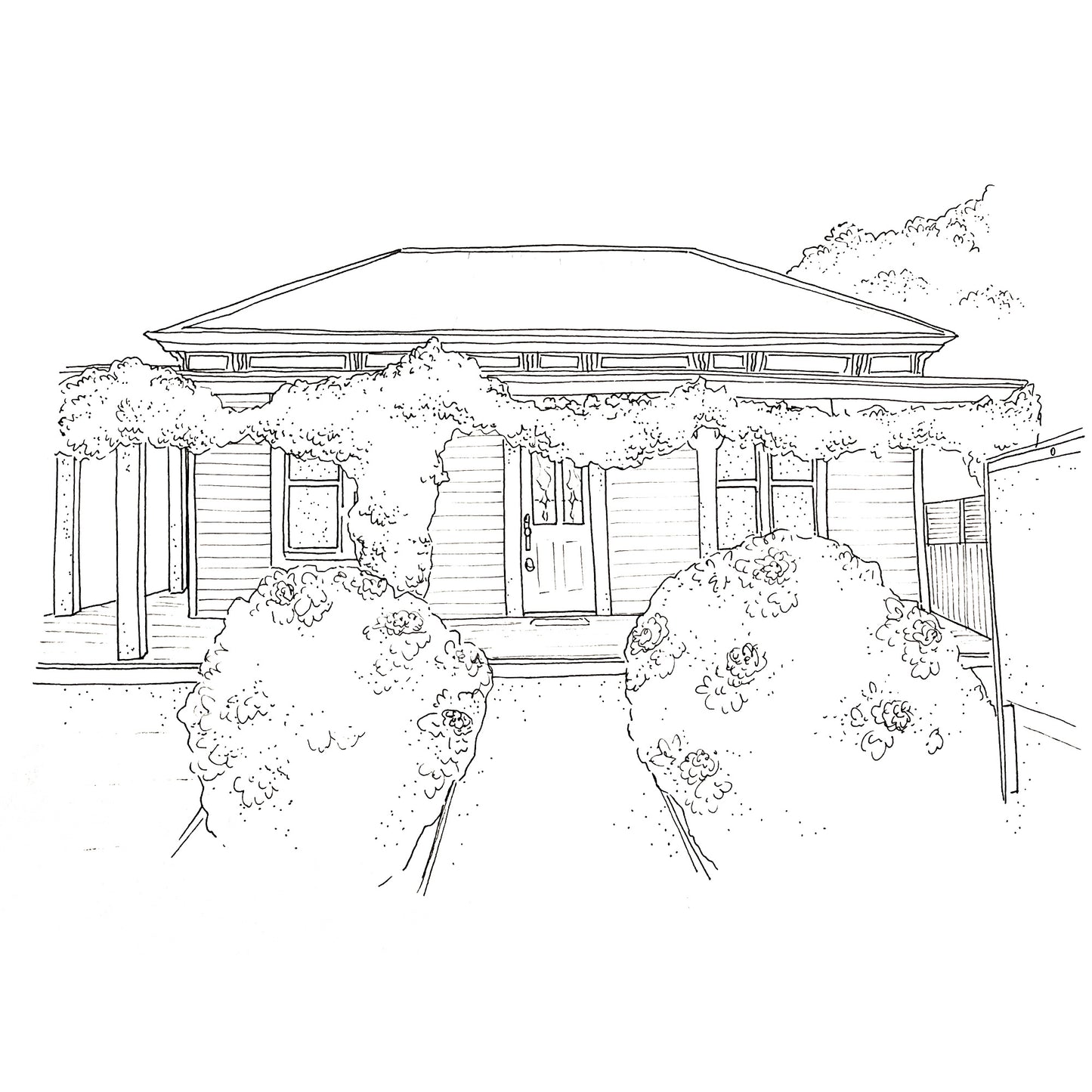 Medium Black Ink Illustration